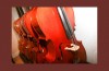 Photo of Row of Cellos