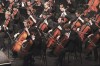 American Youth Philharmonic Orchestra